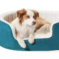 The Importance of Choosing the Right Size Bed for Your Dog
