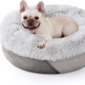 The Best Dog Beds for Your Furry Friend Who Loves to Stretch Out