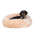 The Benefits of Covered Dog Beds