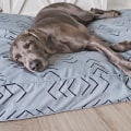 The Benefits of Covered Beds for Dogs