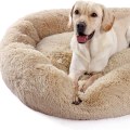 The Ultimate Guide to Choosing the Perfect Dog Bed