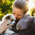 The Emotional Connection Between Dogs and Their Owners