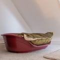 The Importance of Choosing the Right Dog Bed