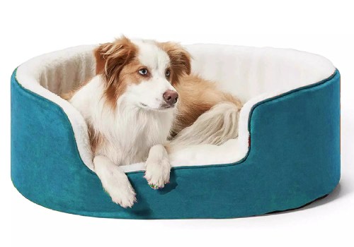 The Importance of Choosing the Right Size Bed for Your Dog
