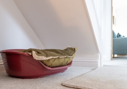 The Importance of Choosing the Right Dog Bed