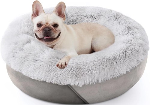 The Best Dog Beds for Your Furry Friend Who Loves to Stretch Out