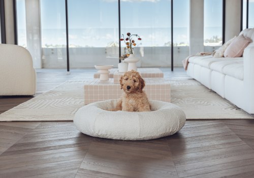 The Benefits of Covered Dog Beds