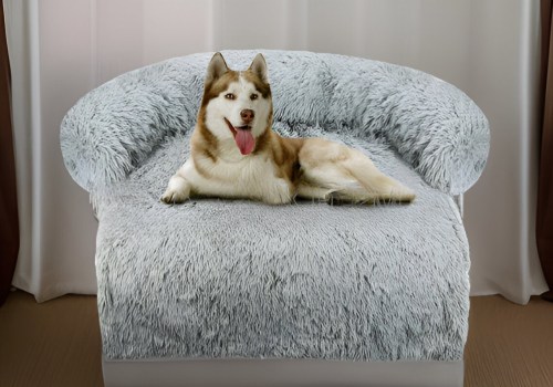 Elevate Your Pet's Comfort: The Ultimate Luxury Dog Bed Experience with TopDogBed