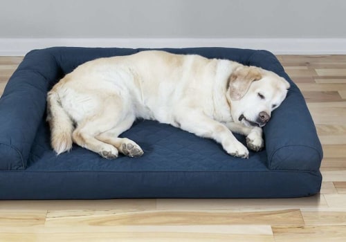 The Best Dog Beds for Your Furry Best Friend