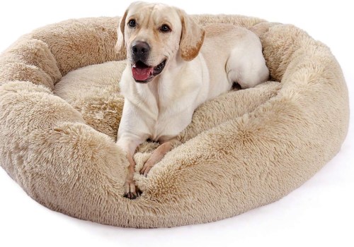 The Ultimate Guide to Choosing the Perfect Dog Bed