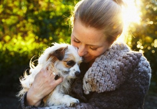 The Emotional Connection Between Dogs and Their Owners